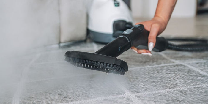 Teppich Dampfreinigung