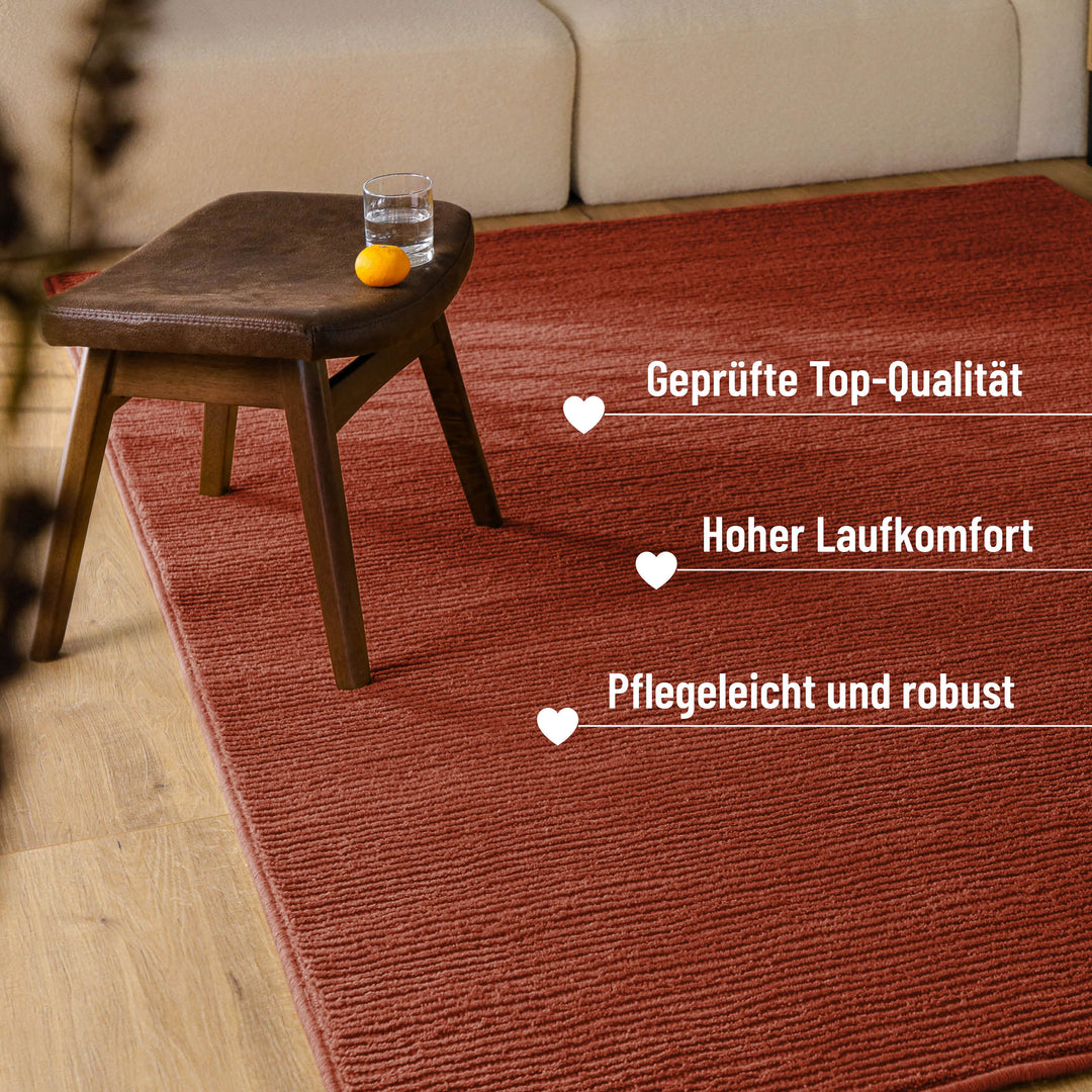 Kurzflor Teppich Castello One Kamin Rot
