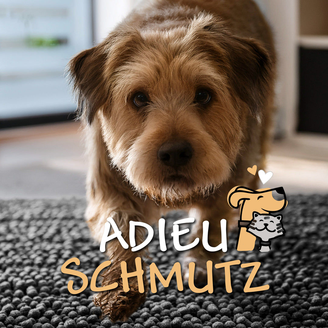 Grafik: Hund auf dem Cooper-Teppich mit Text Adieu Schmutz – Teppich fängt Schmutz im Eingangsbereich auf
