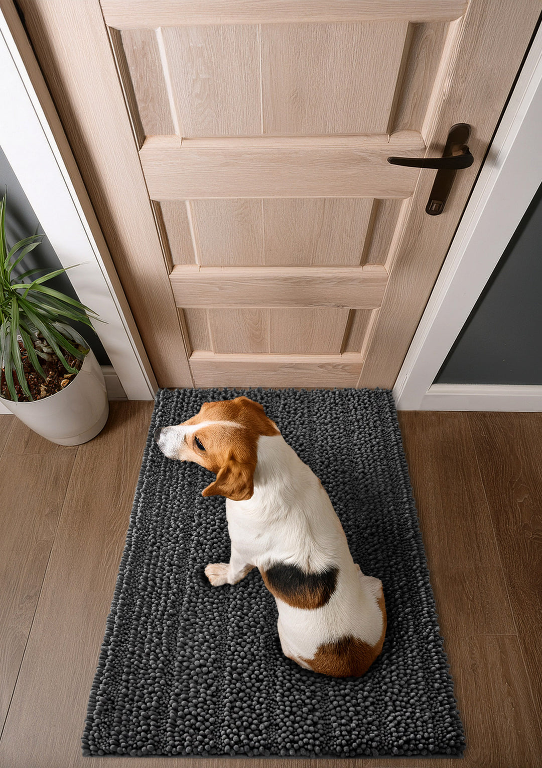 Hund sitzt auf Cooper-Teppich vor der Haustür – Grau, Top-View