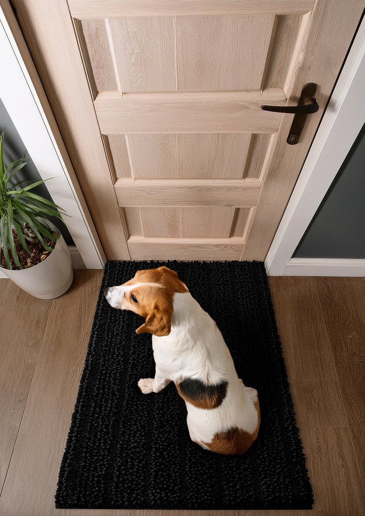 Hund sitzt auf Cooper-Teppich vor der Haustür – Schwarz, Top-View
