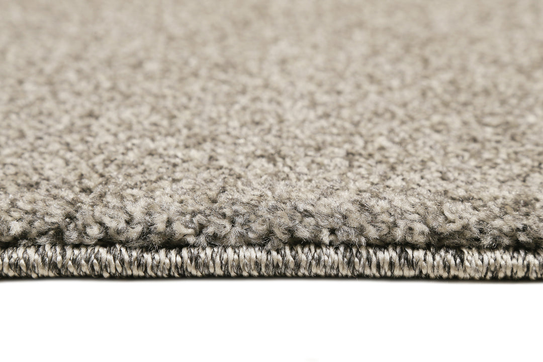 Campus 2.0 Teppich taupe Hochflor rechteckig