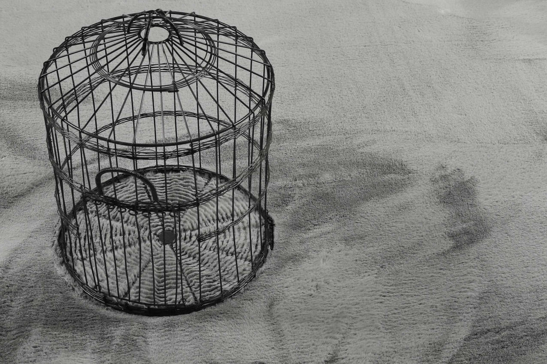 Alice Teppich grau Hochflor rund