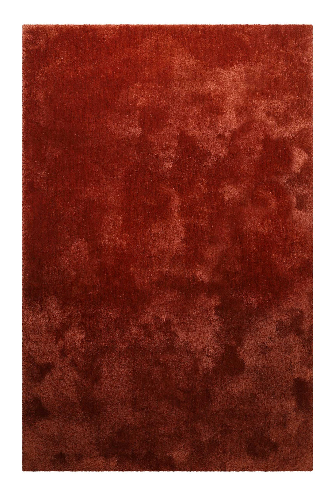 Pisa Teppich braun Hochflor rechteckig