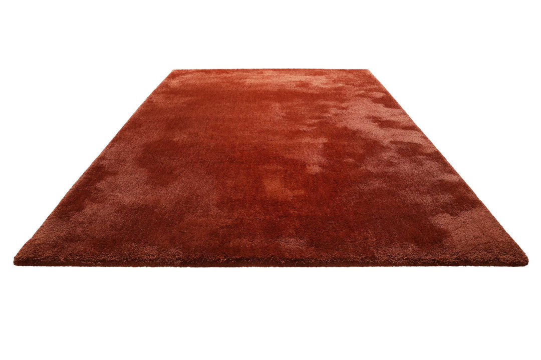 Pisa Teppich braun Hochflor rechteckig