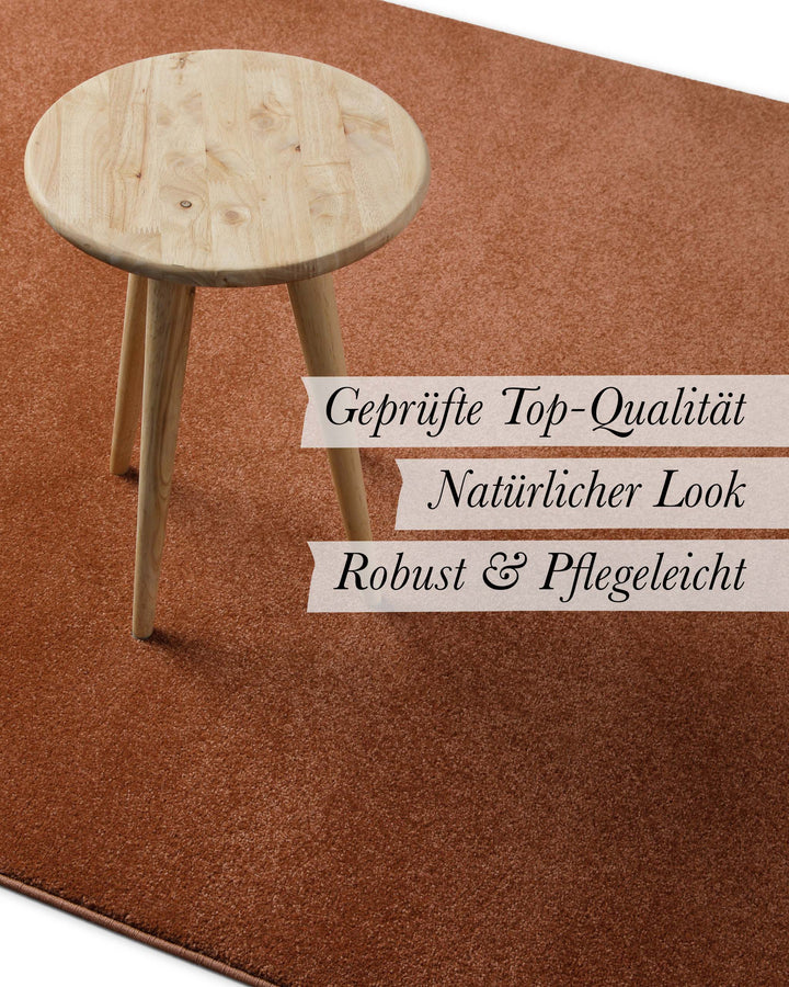 Kurzflor Teppich Freja Ziegel Rot im Wohnraum mit Eigenschaften wie geprüfte Qualität und natürlicher Look