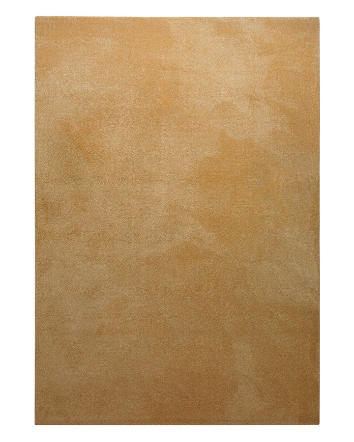 Komplette Draufsicht des Teppichs, gleichmäßige Farbverteilung ohne Musterunterbrechung