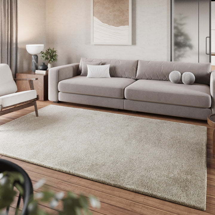 Pisa Teppich hellgrau creme Hochflor rechteckig