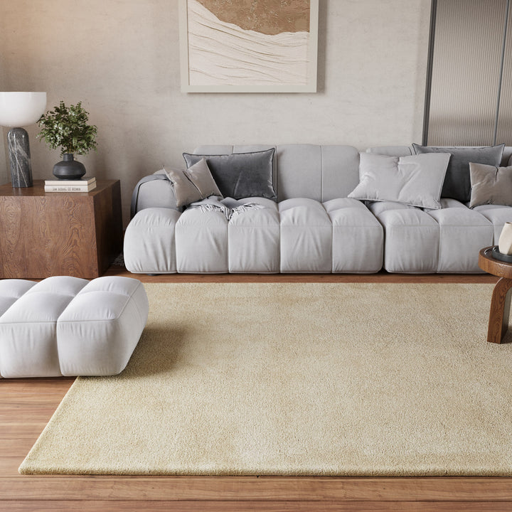 Pisa Teppich beige Hochflor rechteckig