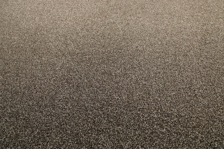 Tim Teppich sandbeige meliert Kurzflor rechteckig