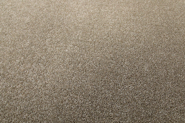 Tim Teppich dunkelbeige meliert Kurzflor rechteckig