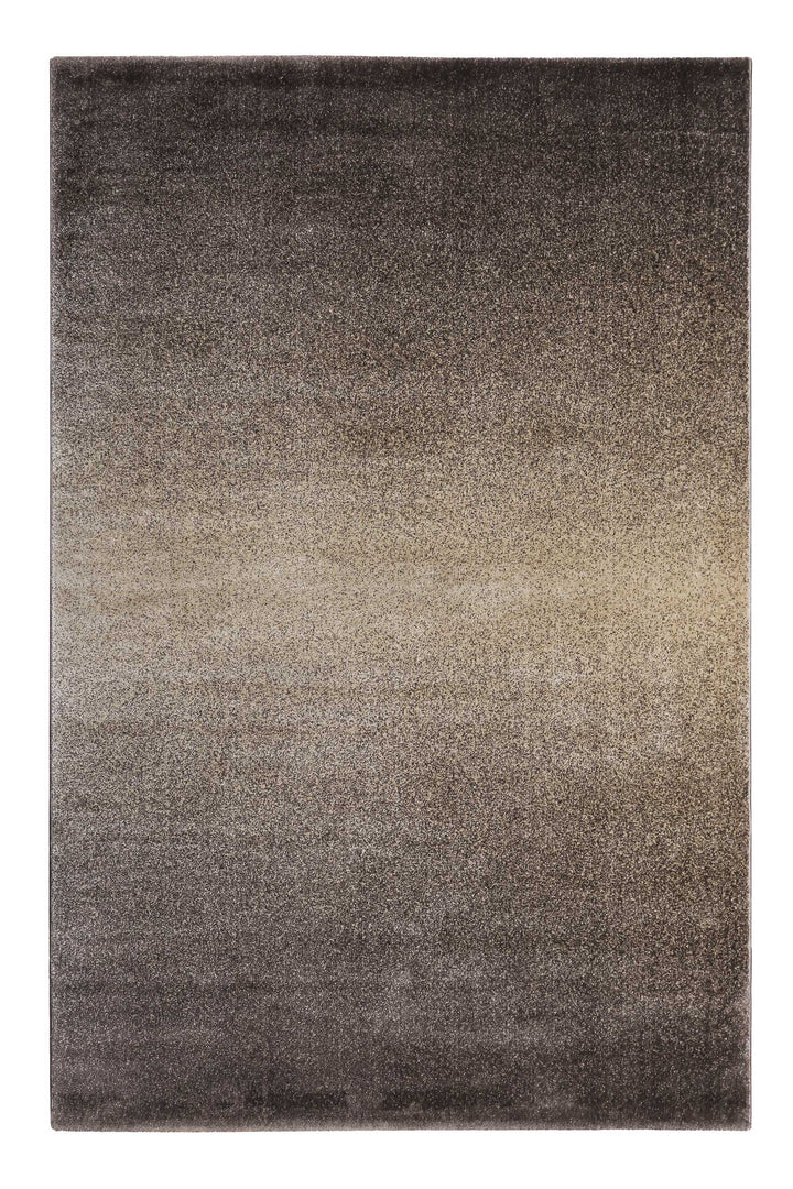 Raffael Teppich beige braun Kurzflor rechteckig