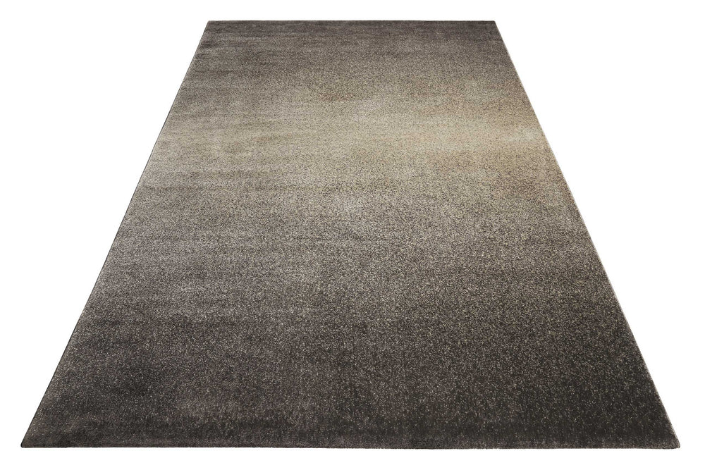 Raffael Teppich beige braun Kurzflor rechteckig