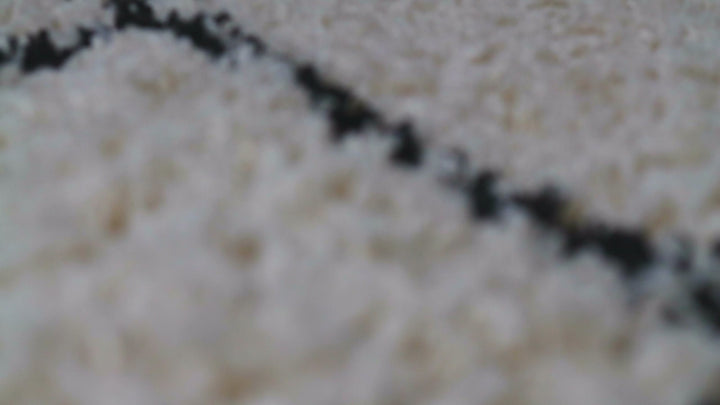 STUDIO one Teppich creme beige Hochflor rechteckig